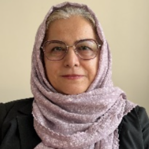 Jamileh, Speaker at Nursing Conferences